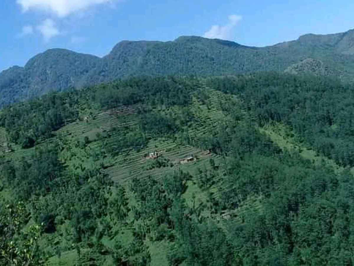 फलाम खानीको सम्भाव्यता अध्ययन गर्न भुगर्भविद्को टोली पुर्चौंडीमा 